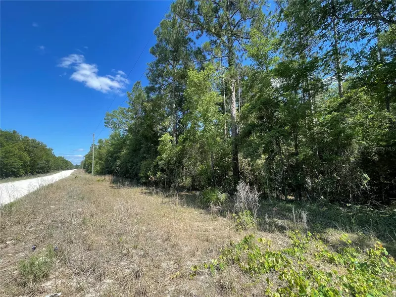 10960 198TH TER, O'brien, FL 32071