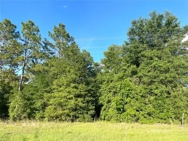 High Springs, FL 32643,000 NW STATE ROAD 45