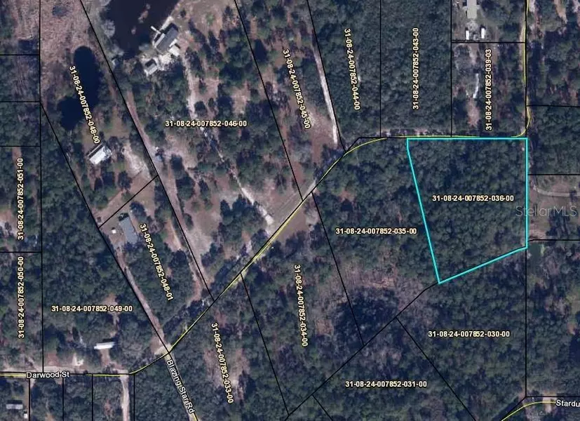 0 DARWOOD ST, Melrose, FL 32666