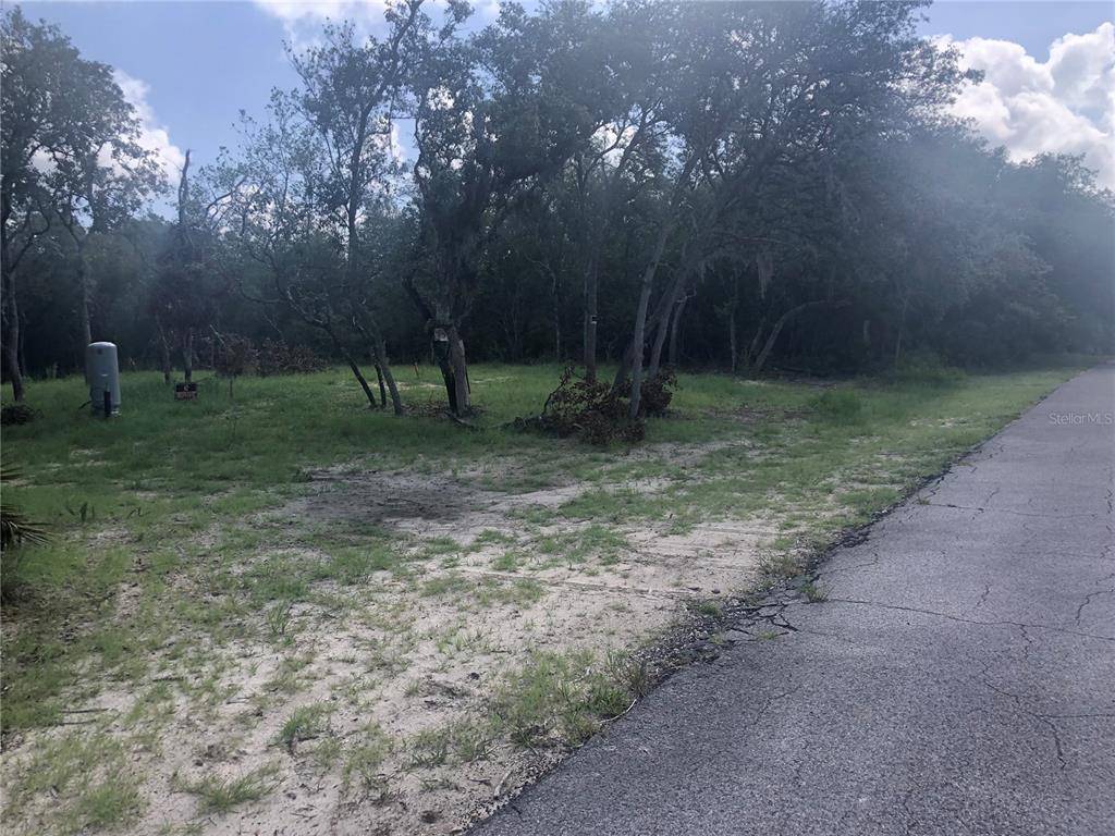 Lot 15 RIVERVIEW RD,  Trenton,  FL 32693