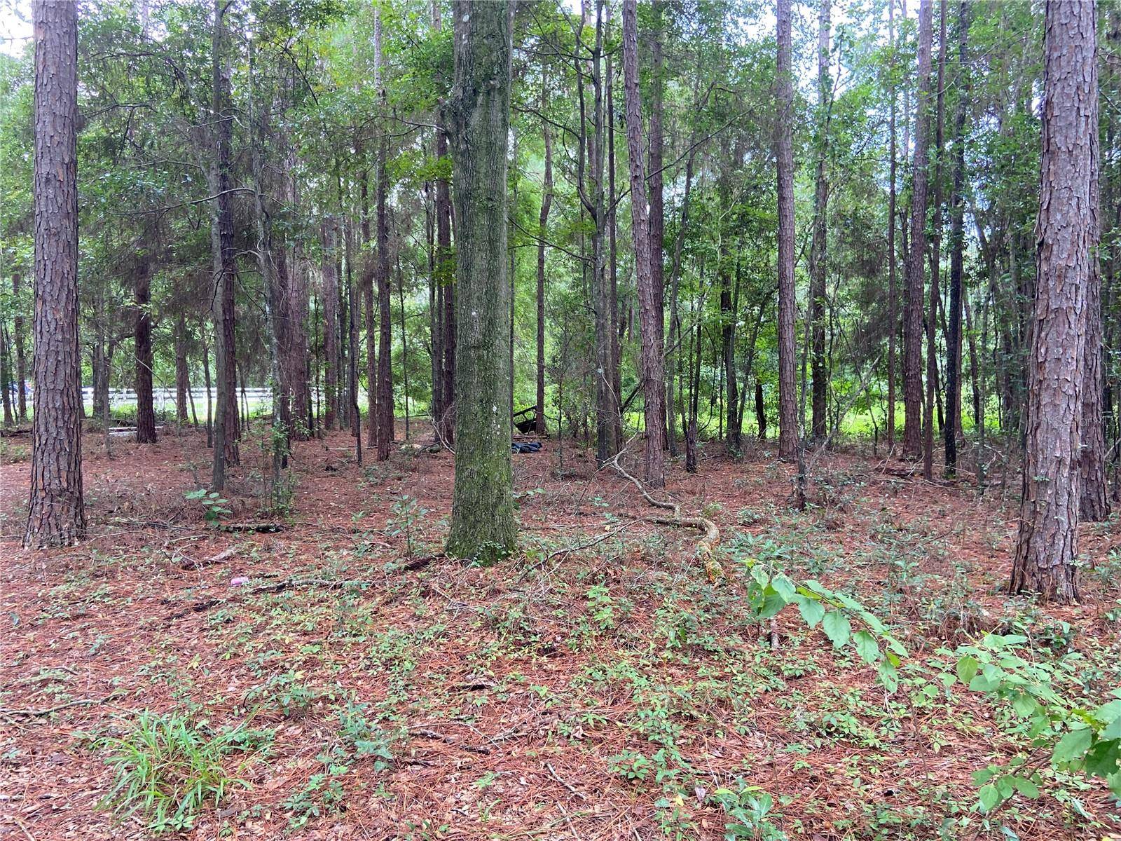 00 NW 257TH TER,  High Springs,  FL 32643