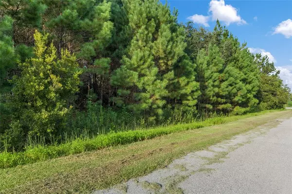 Lake Butler, FL 32054,LOT 1/LOT 2 W STATE ROAD 238