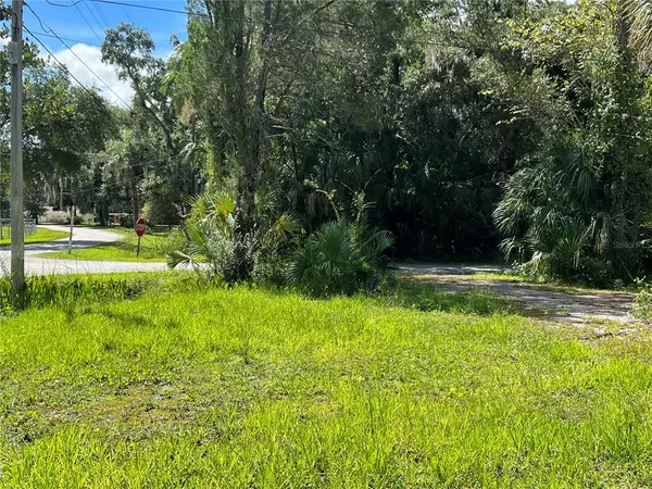 Yankeetown, FL 34498,17 66TH ST