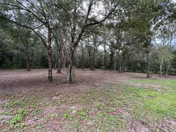 Bronson, FL 32621,NE 86TH LN