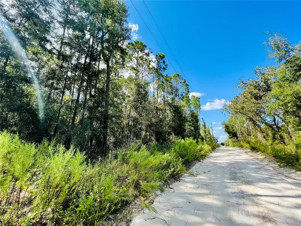 Lot 24 NW 30TH AVE, Bell, FL 32619