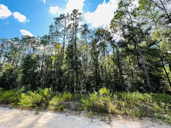 Bell, FL 32619,Lot 24 NW 30TH AVE