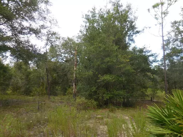 Archer, FL 32618,00 NE 107TH TER