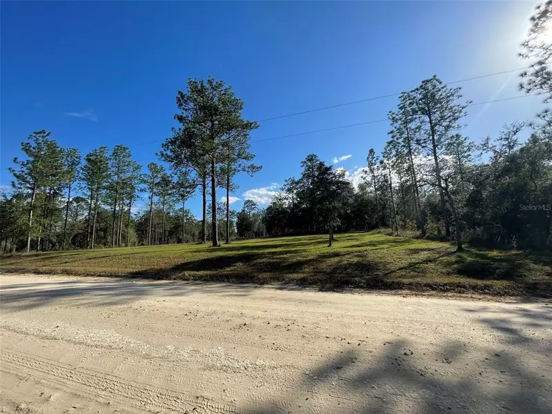 LOT 1 NE 8TH ST, Williston, FL 32696