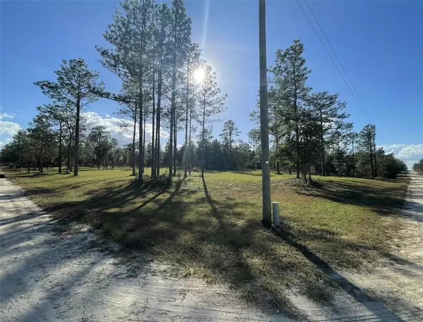 Williston, FL 32696,LOT 1 NE 8TH ST