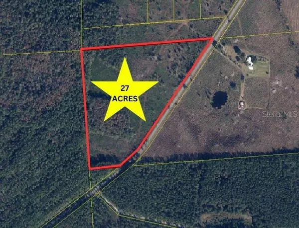 27 ACRES NE COUNTY ROAD 237, Lake Butler, FL 32054