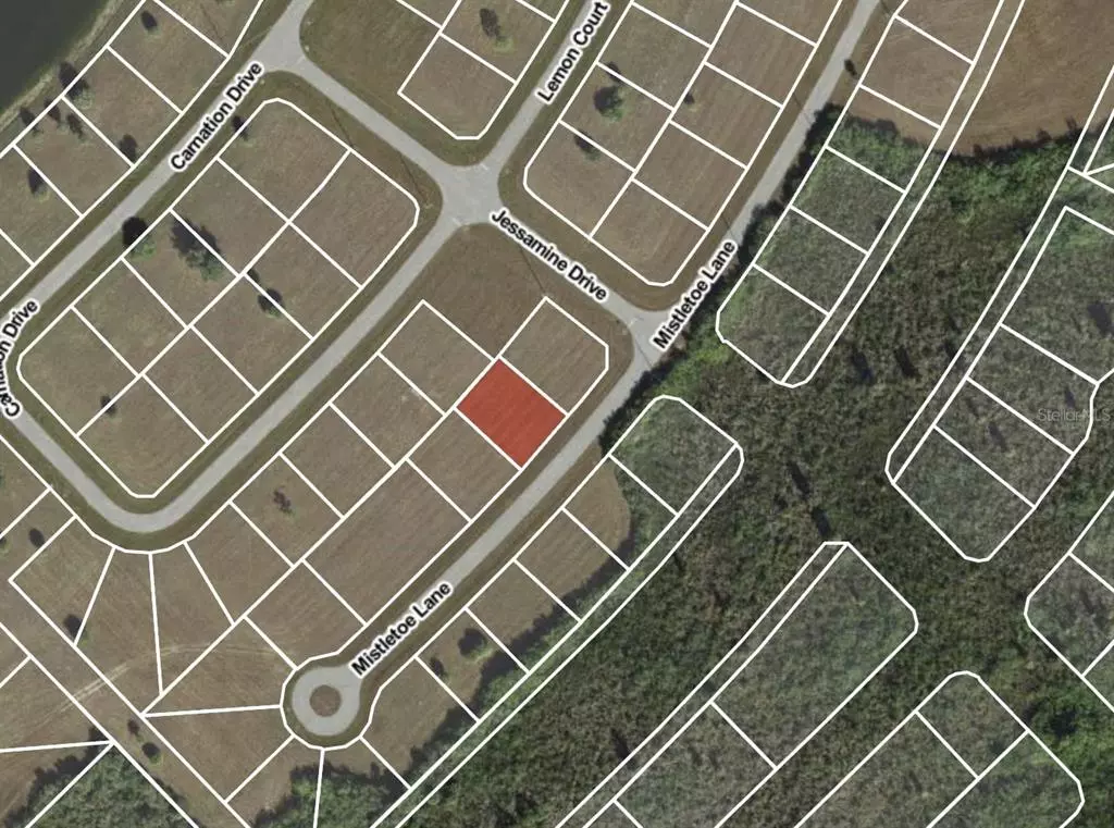 Placida, FL 33946,13 MISTLETOE LN