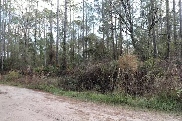 Middleburg, FL 32068,497 KAY RD