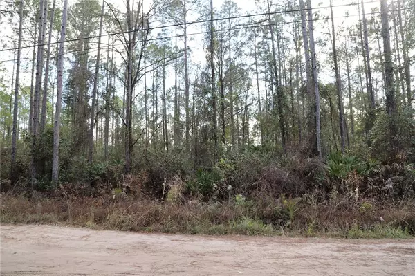 Middleburg, FL 32068,497 KAY RD