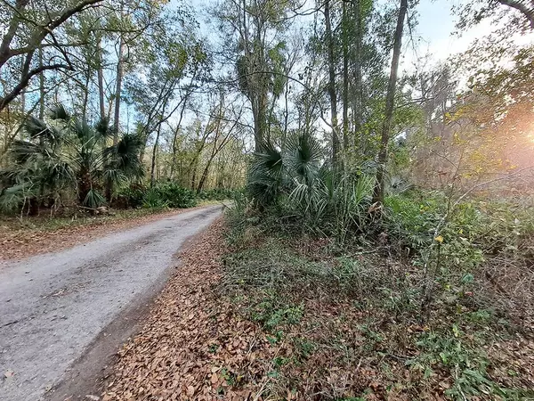 Micanopy, FL 32667,00000 SW 6TH TER