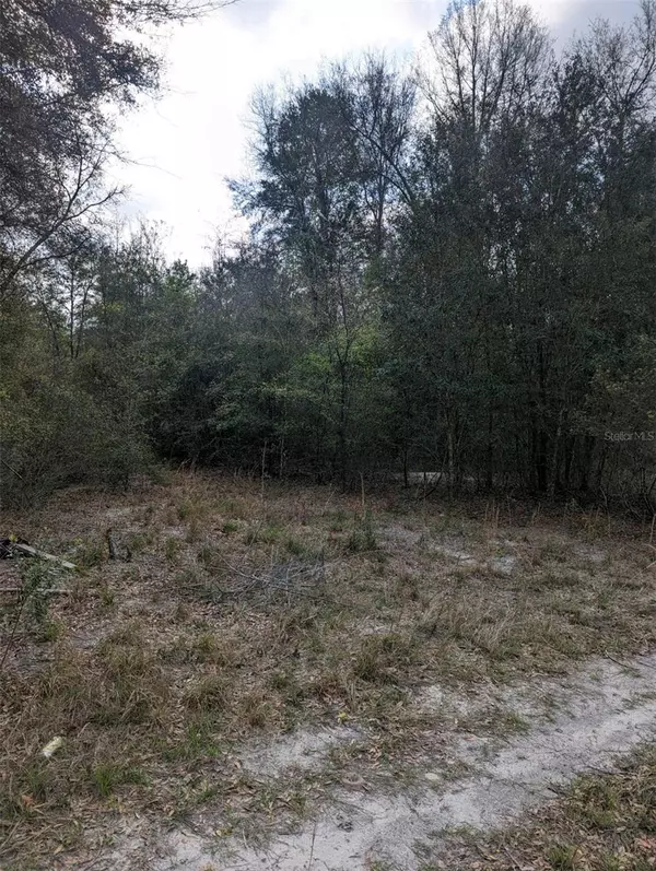 Live Oak, FL 32060,TBD 185TH ROAD