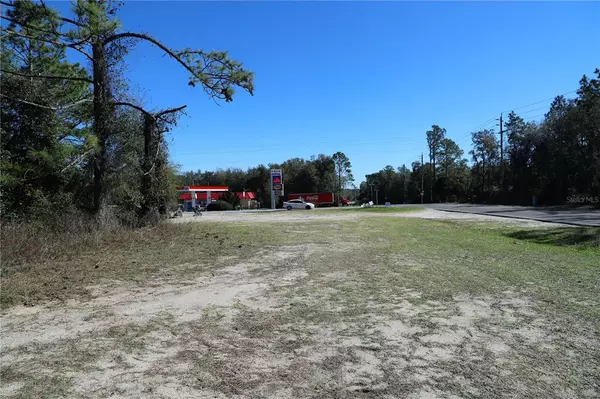 Interlachen, FL 32148,0 COUNTY ROAD 315