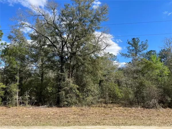 Williston, FL 32696,000 NE 127TH CT