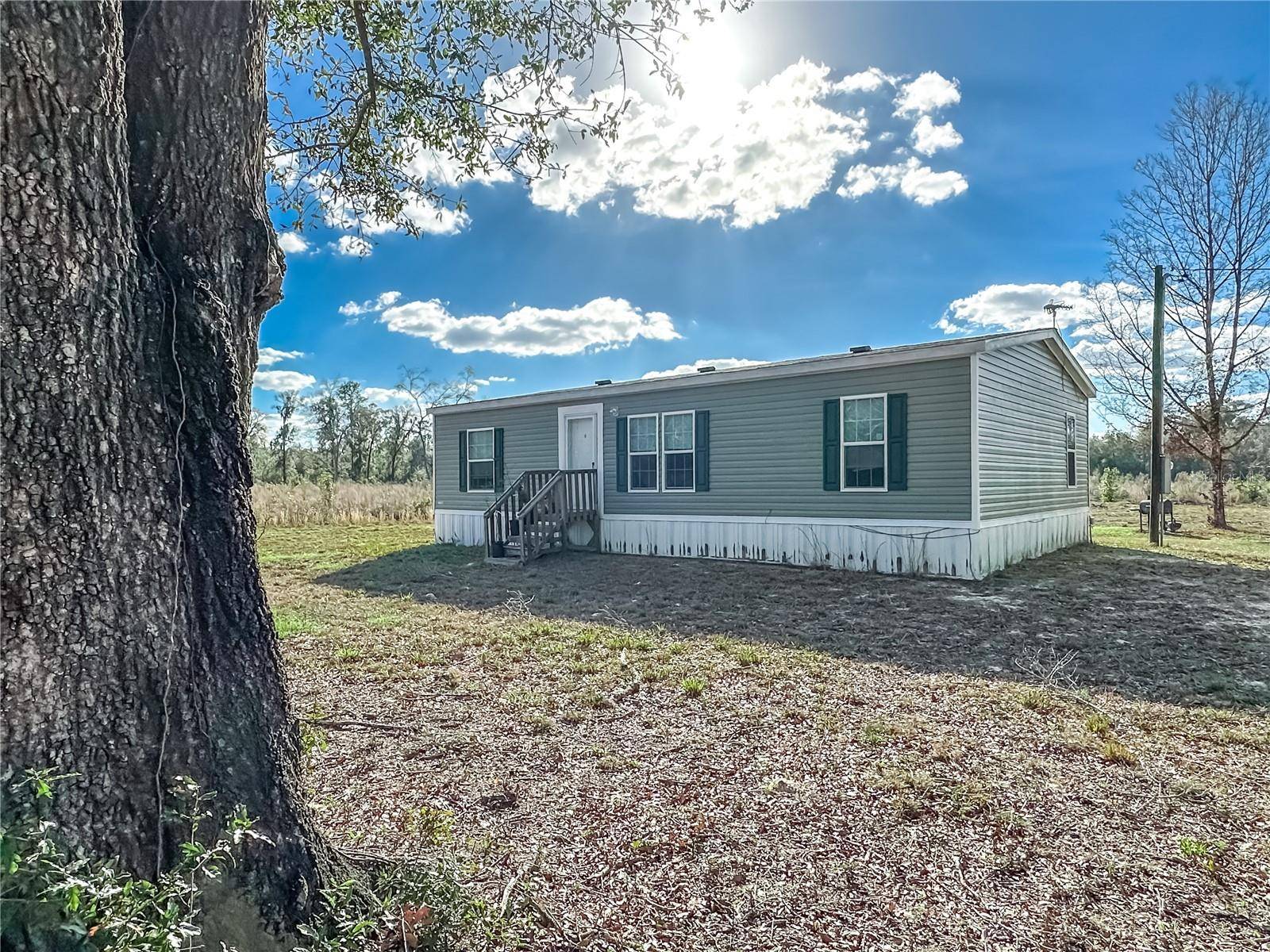 323 SW BLAST CT, Fort White, FL 32038