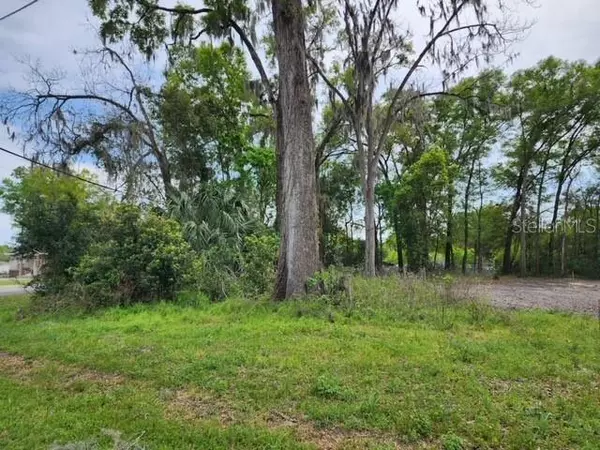 High Springs, FL 32643,00 DOUGLAS ST