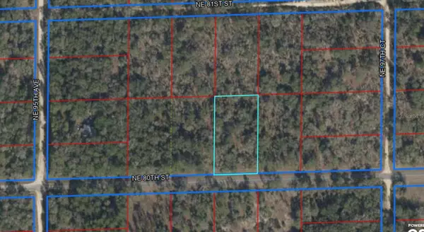 NE 80 ST, Bronson, FL 32621