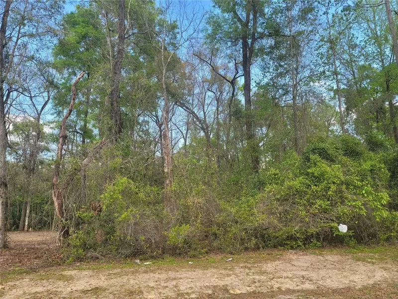 TBD KATHERINE WAY #LOT #40, Fanning Springs, FL 32693