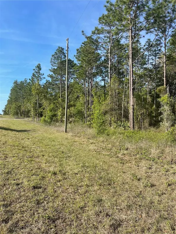 Ocala, FL 34481,0 SW 129 TERR ROAD