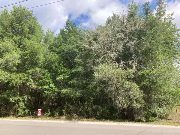 Bronson, FL 32621,LOT 20 ON NE 72ND ST