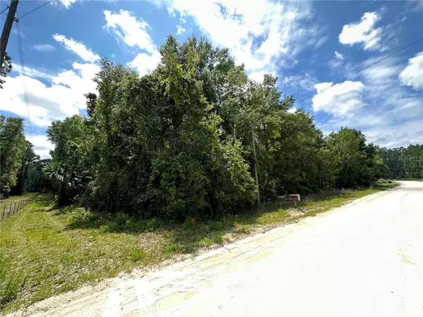 335 SW RANDOLPH CT,  Fort White,  FL 32038