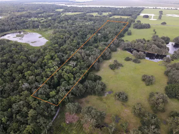 Micanopy, FL 32667,15208 SW WILLISTON RD