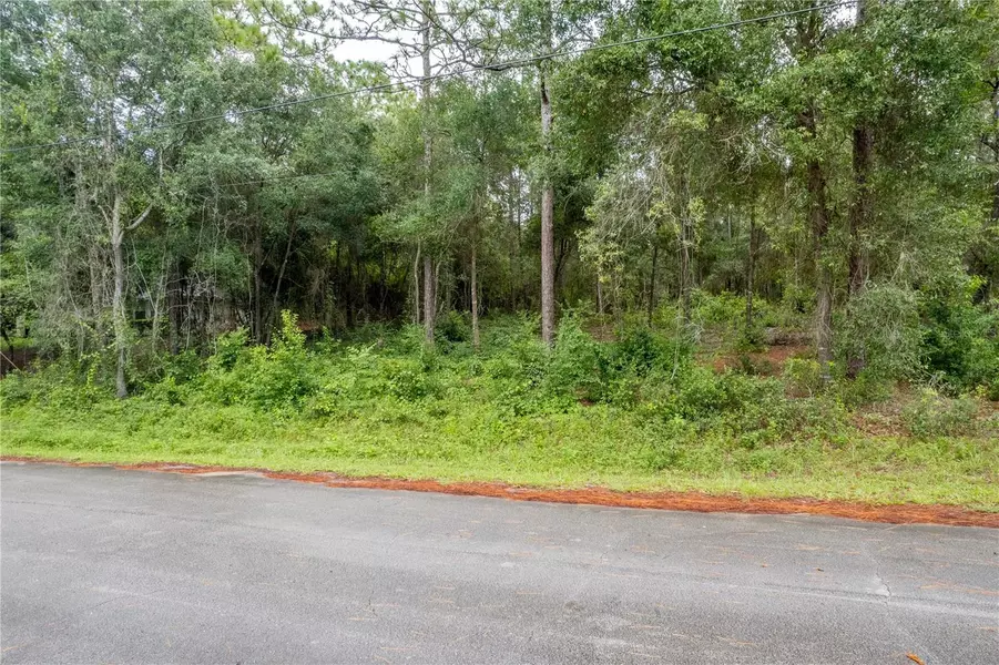 6334 LITTLE LAKE GENEVA RD, Keystone Heights, FL 32656