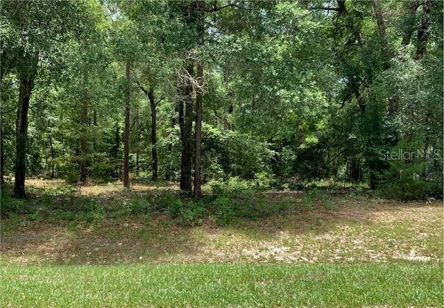 NW 30TH AVE, Newberry, FL 32669