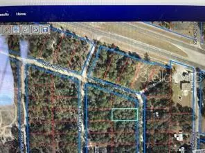 NE 139TH TER, Williston, FL 32696