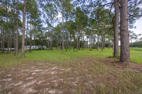 Newberry, FL 32669,11219 SW 282ND ST