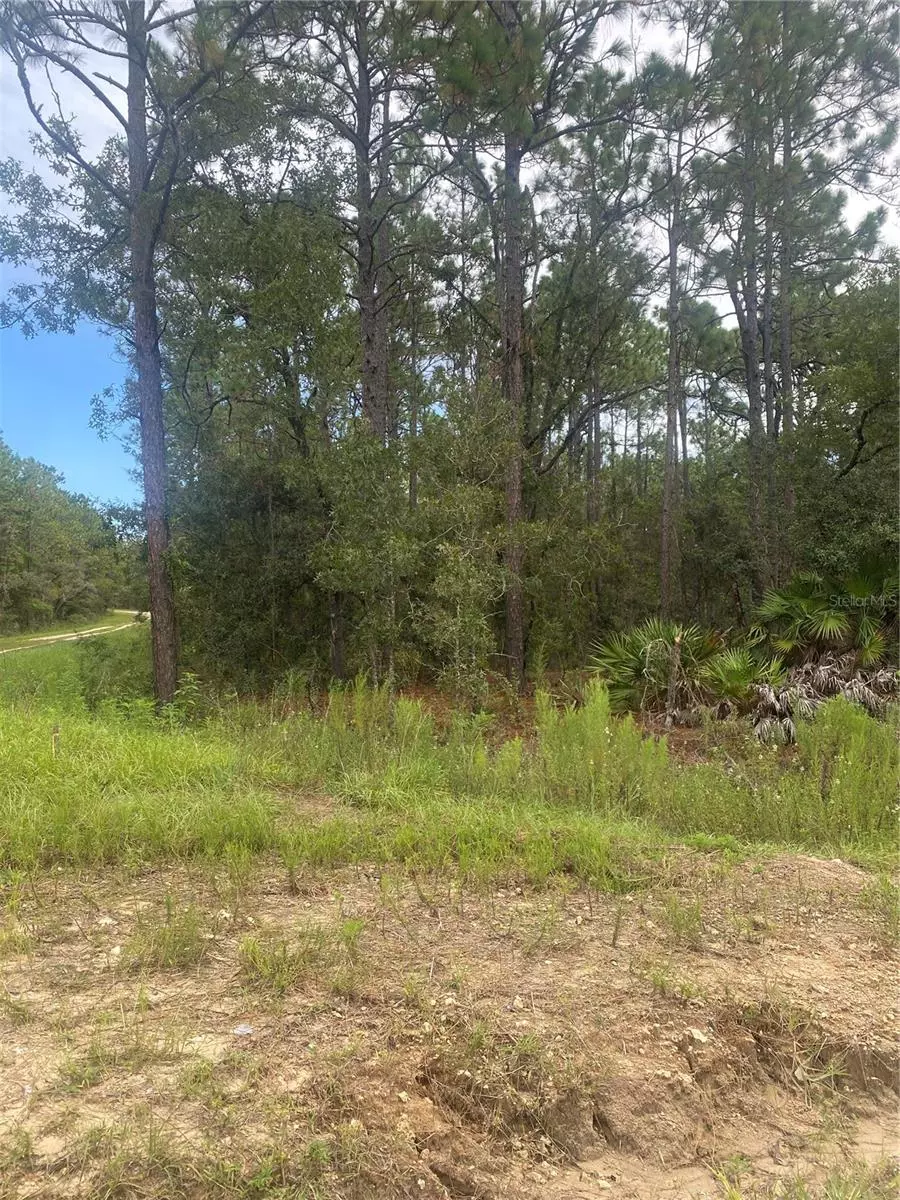 Dunnellon, FL 34432,SW 81 ST