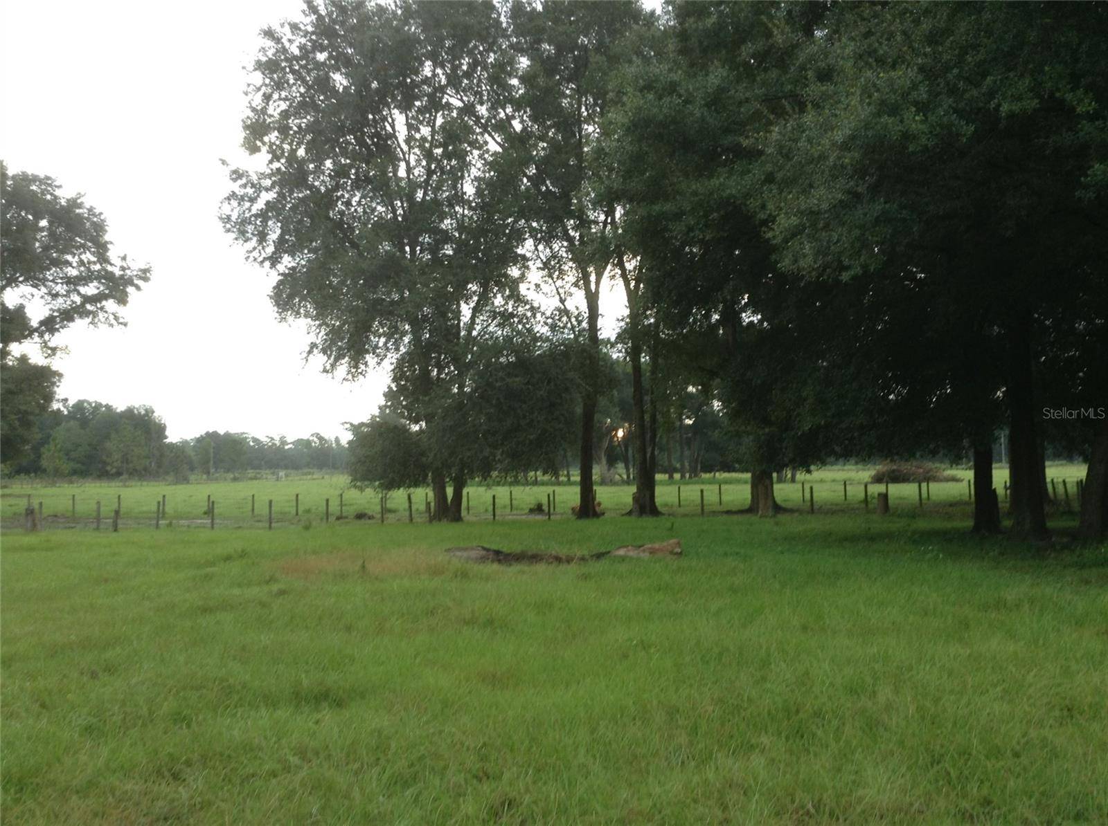 TBD SW 179 PL, Archer, FL 32618
