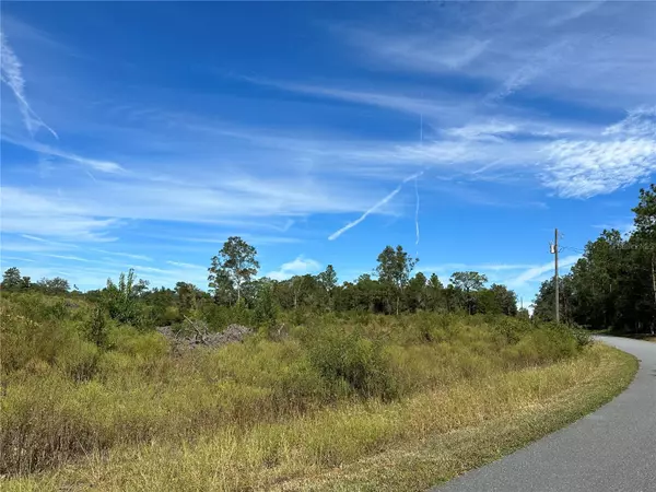 Bronson, FL 32621,NE 92ND CT