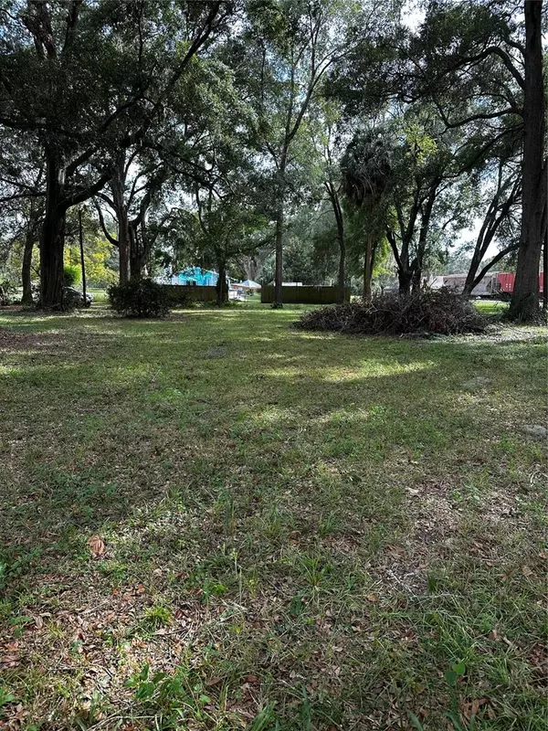 Newberry, FL 32669,0000 SW 252 ST