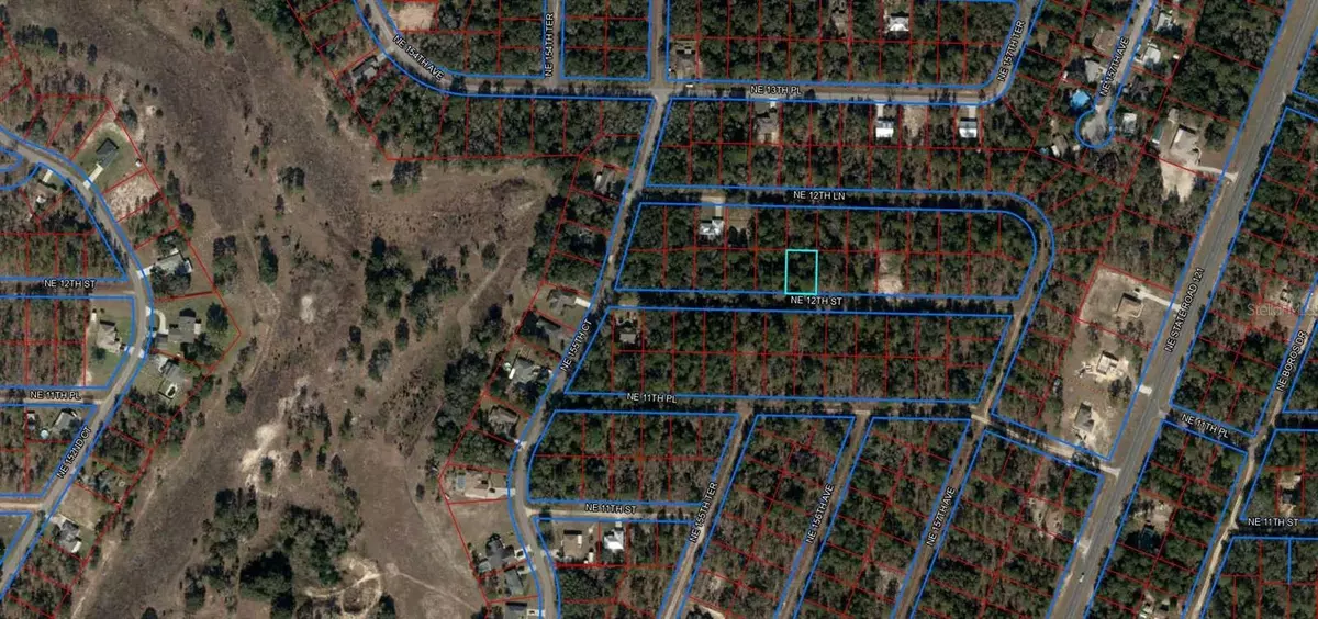 Williston, FL 32696,Lot 19 NE 12TH ST