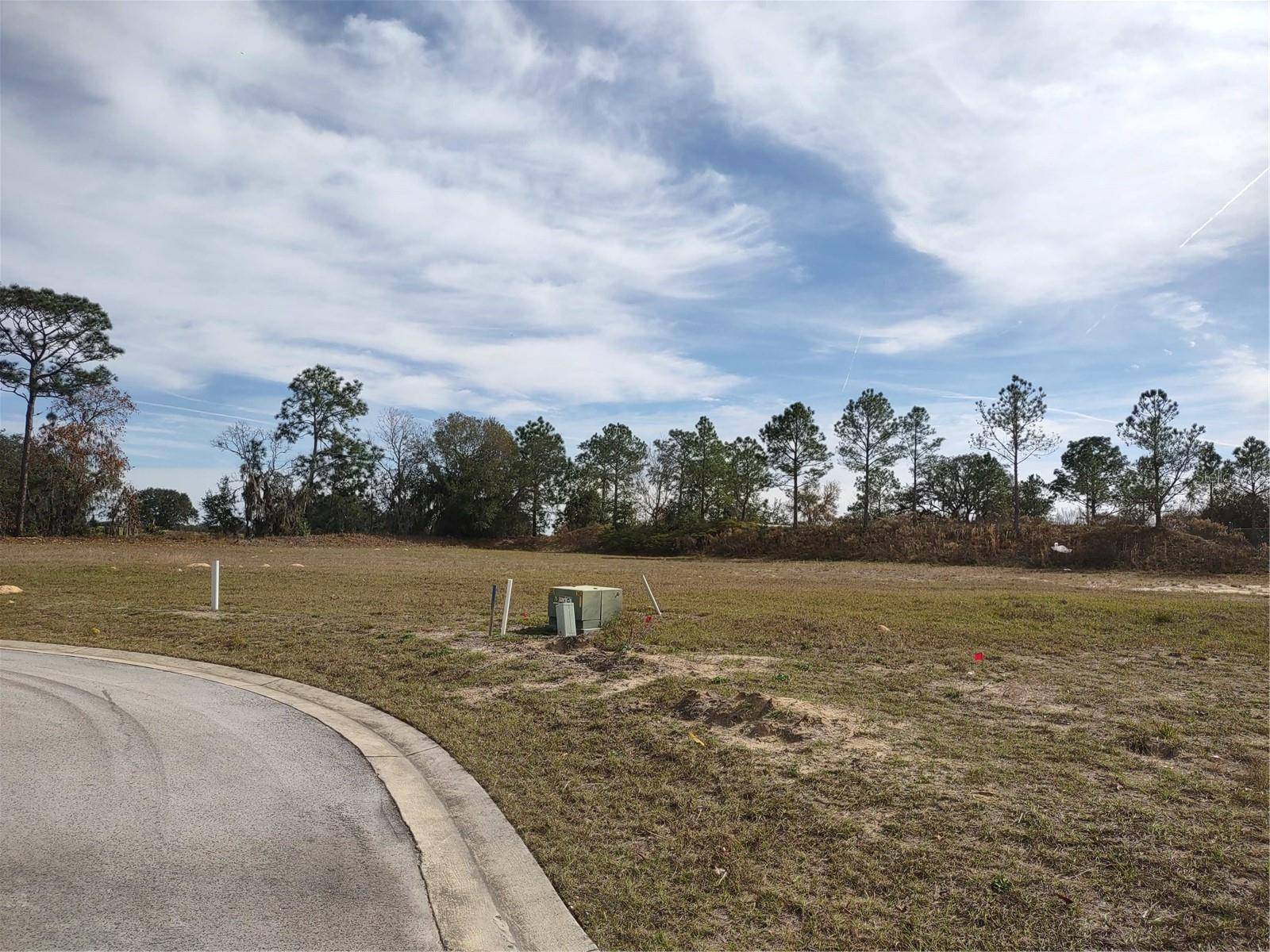 Dunnellon, FL 34432,6400 SW 180 CIR #Lot 29