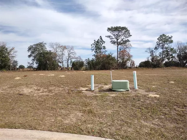 Dunnellon, FL 34432,6400 SW 180 CIR #Lot 29