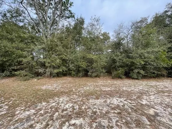 Bronson, FL 32621,000 NE 127TH PLACE