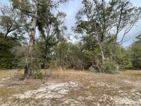 Bronson, FL 32621,000 NE 127TH PLACE