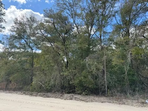 Bronson, FL 32621,TBD NE 95 AVE