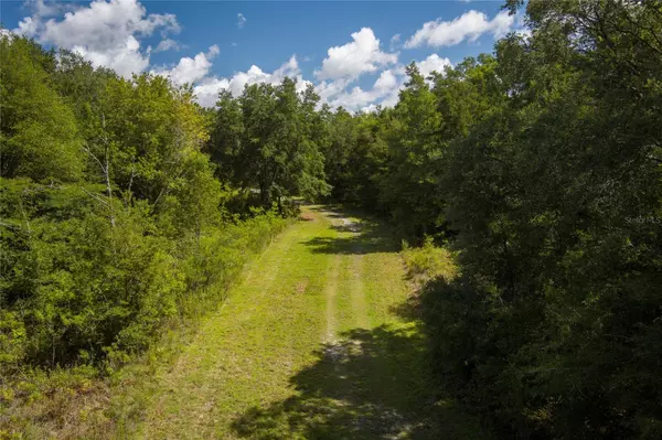 Newberry, FL 32669,0000 SW 46 AVE