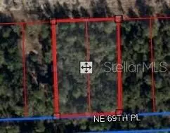 Bronson, FL 32621,TBD NE 69TH PL