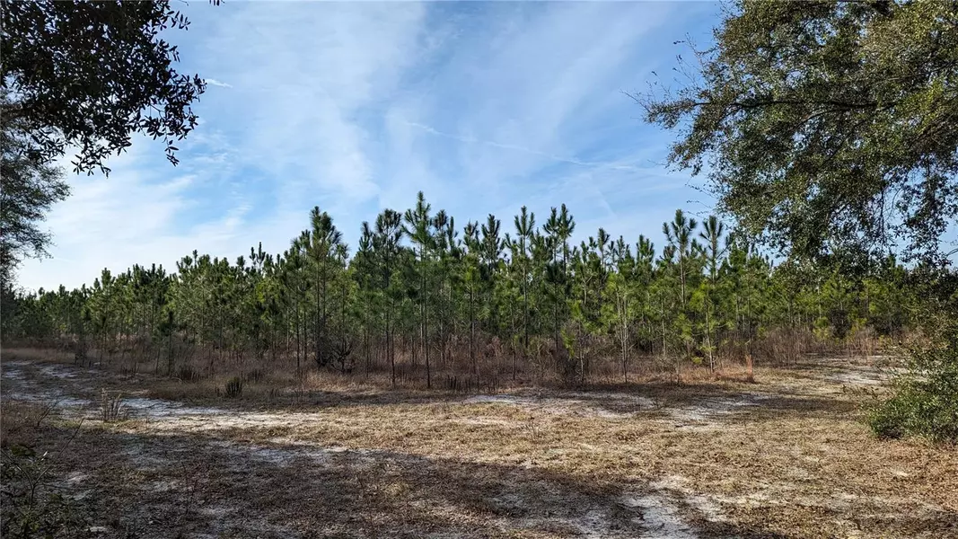 TBD - 104.7 ac DIXIE HWY, High Springs, FL 32643