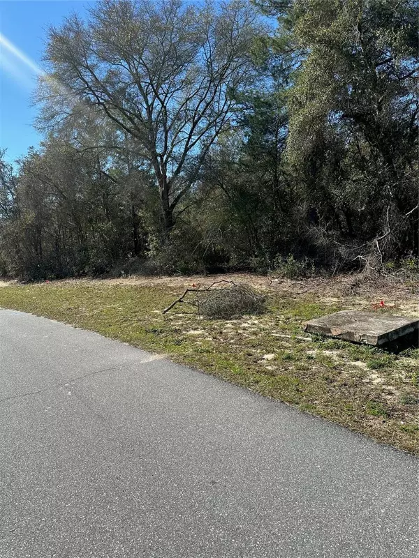 Ocala, FL 34473,TBD 159TH LANE ROAD