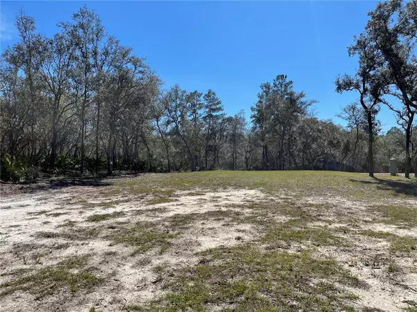 Fanning Springs, FL 32693,8420 RIVERVIEW RD