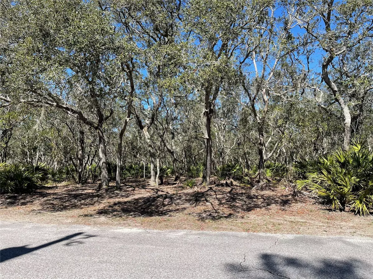 Fanning Springs, FL 32693,8400 RIVERVIEW RD