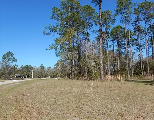 Hampton, FL 32044,Lot 24 FOX HOLLOW DR